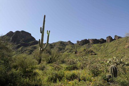 Desert domestic national park