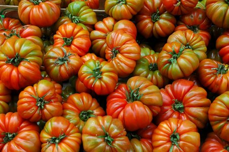 Tomatoes organic fruit photo