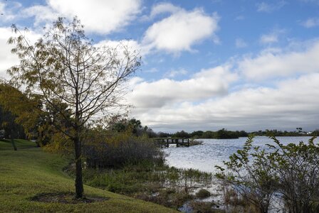 Grass lake land photo