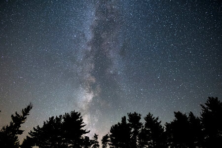 Milky Way Tree Silhouettes Free Photo