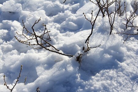 Natural icy ice photo