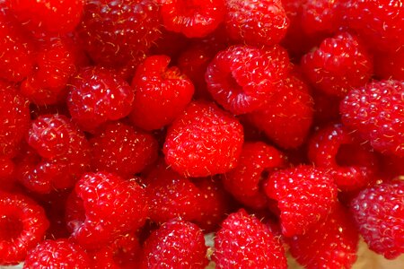 Berries vitamins sweet