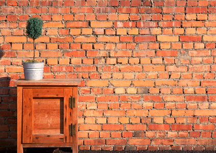 Can flower pot with green plant on table brick wall background photo