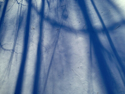 Snow Shadows photo