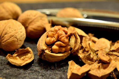 Protein brown raw