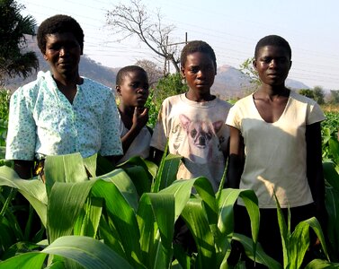 Babies bearing Malawi photo