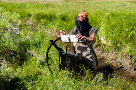 Employee tracks fish in wetland area
