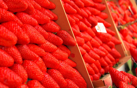 Strawberries photo