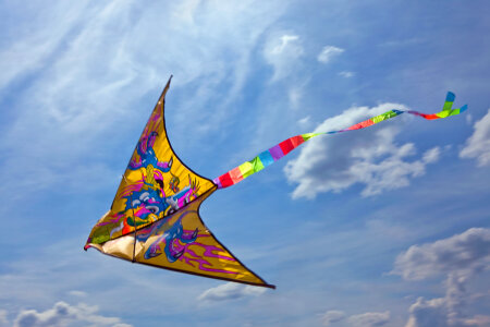 kite photo