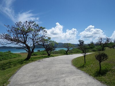 Trail sunny day public holiday