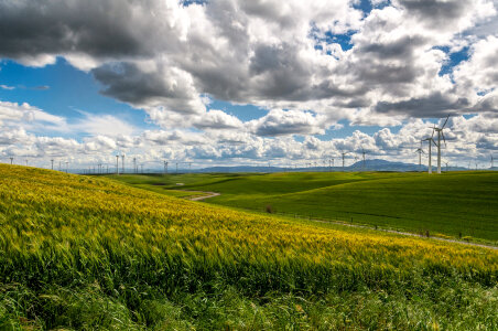 Windswept landscape with clouds and windmill farm photo