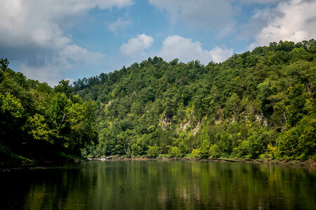 Scenic view of the Cumberland River Tailwater-11