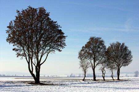 Winter mood cold landscape photo