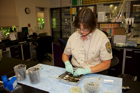 Lower Columbia River Fish Health Center scientists
