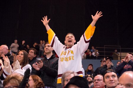 Ice hockey fan team