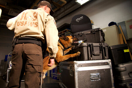 Law enforcement with K-9-1
