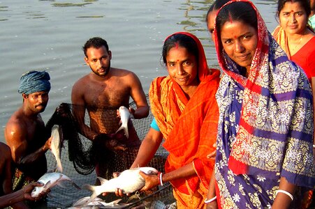 Bangladesh fish pond