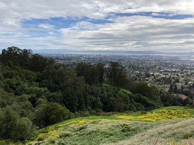Hillside hilltop panorama photo