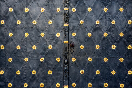 Close-up of an large iron gates photo