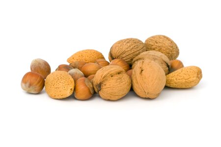 Walnut hazelnut pile