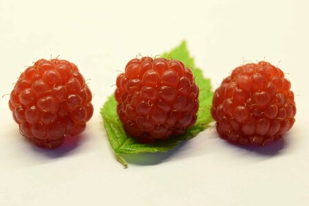 Berry calorie delicious photo