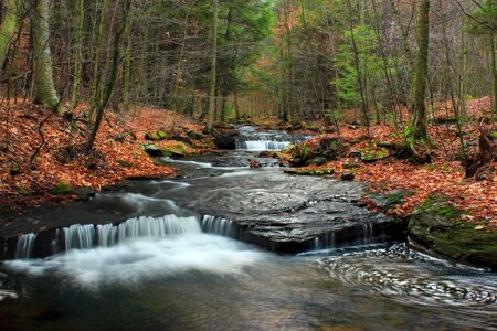 Beautiful Photo creek ecology