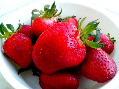 Bowl fruit red