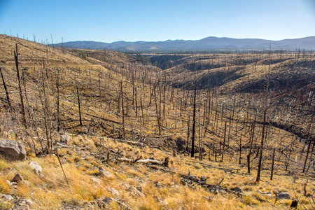 Area of Gila National Forest burned by Whitewater Baldy fire of 2012-1