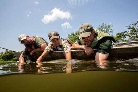 Alligator gar-1 photo