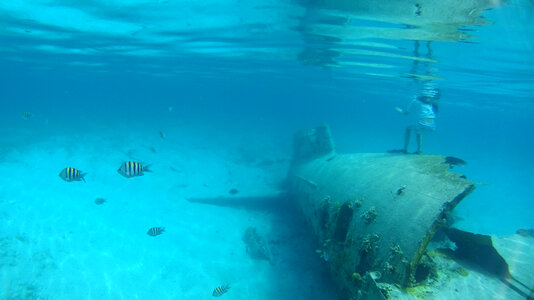 Shipwrecked ruins in the Bahamas photo