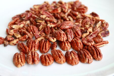 Candied pecans nuts food