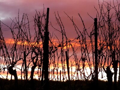 Dusk sky nature