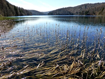 Lake tranquil nature
