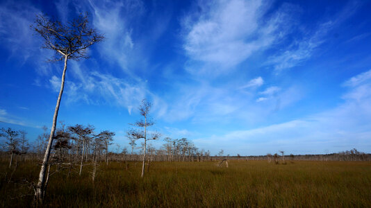 Sky and Clouds over the swamp at Big Cypress National Reserve, Florida