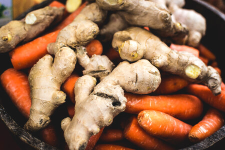 Different kinds of fresh herbs photo