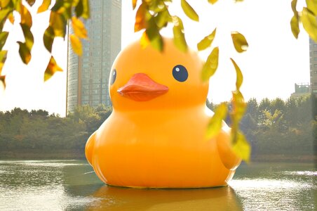 Rubber duck duck doll