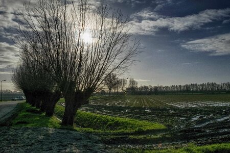 Agriculture autumn branch