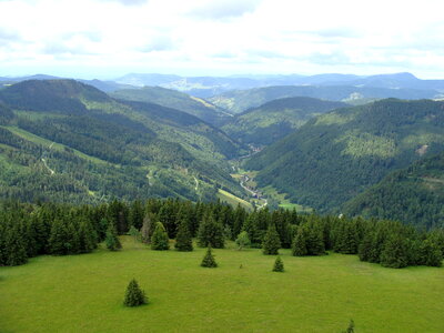Upper meadow valley in the Black Forest photo