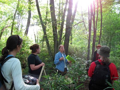 Discussing equipment forest