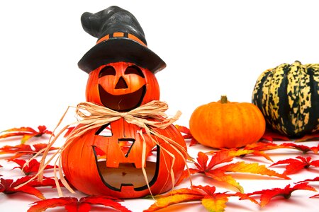 Fall funny gourd