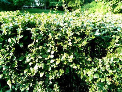 Agriculture branch environment