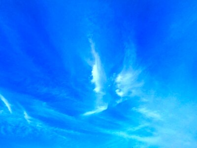 Cloud the evening sky angel wings