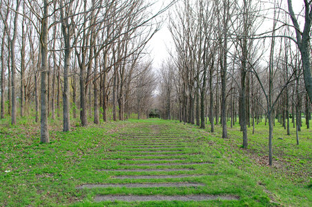 7 Maedashinrin Park 