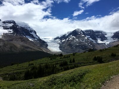 Snow Covered Mt Athabasca From the Wilcox Pass Trail photo