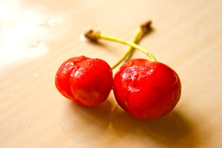 Agriculture berry button