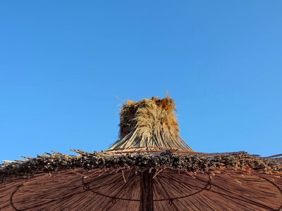 Parasol covering landscape
