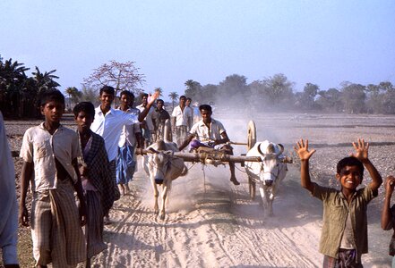 Bangladesh boys earth