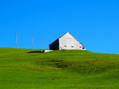 Green meadow berghäuser alpwirtschaft