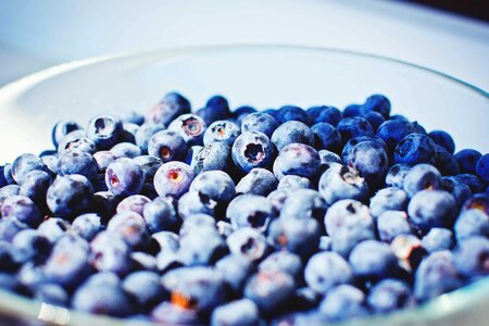Berry blueberry bowl photo