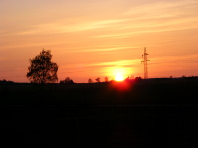 Tree and ironman in sundown photo